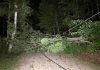 High winds across central and eastern Ontario on May 29, 2026 downed trees, utility poles, and power lines, leaving tens of thousands of Hydro One customers without power. (Photo: Hydro One)