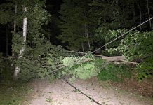 High winds across central and eastern Ontario on May 29, 2026 downed trees, utility poles, and power lines, leaving tens of thousands of Hydro One customers without power. (Photo: Hydro One)