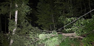High winds across central and eastern Ontario on May 29, 2026 downed trees, utility poles, and power lines, leaving tens of thousands of Hydro One customers without power. (Photo: Hydro One)