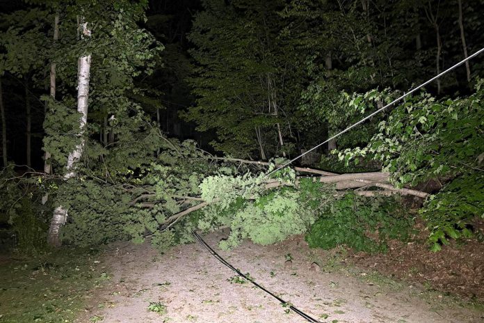 High winds across central and eastern Ontario on May 29, 2026 downed trees, utility poles, and power lines, leaving tens of thousands of Hydro One customers without power. (Photo: Hydro One)