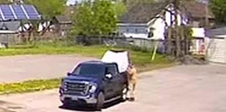 The vehicle and suspect in the theft of a community pantry from Bridge Street West in Campbellford on the afternoon of May 18, 2026. (kawarthaNOW screenshot)