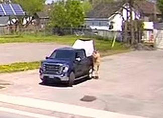Police seeking suspect in Victoria Day theft of community pantry in Campbellford The vehicle and suspect in the theft of a community pantry from Bridge Street West in Campbellford on the afternoon of May 18, 2026. (kawarthaNOW screenshot)