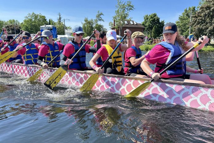 Peterborough's Dragon Boat Festival is celebrating its 25th anniversary in 2026, with this year's fundraising event taking place on Saturday, June 13 at Del Crary Park in Peterborough. More than 50 teams and over 500 participants will take to the water on Little Lake to support this year's goal of raising $325,018.01 for cancer care at Peterborough Regional Health Centre, taking the 25-year fundraising total to well over $5 million. (Photo: Peterborough Regional Health Centre Foundation)