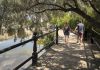 A couple walks along the Trent Severn Waterway in Lindsay. The new Visitor Research Program delivered by Regional Tourism Organization 8 (RTO8) allows business operators, municipalities, and tourism partners within Kawarthas Northumberland to access visitor data collected through Environics Analytics based on mobile device detection. The program can be used to access insights on who visitors are, where they come from, and how they can best be reached. (Photo: Fred Thornhill)