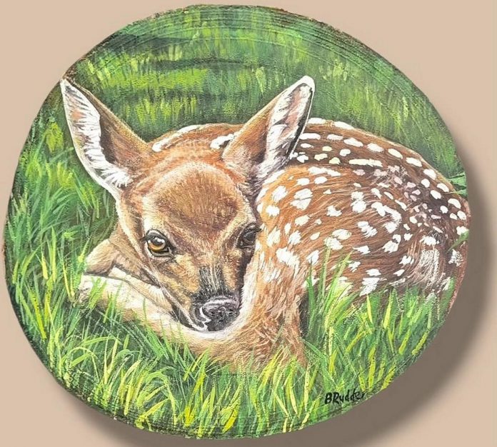 Brenda Rudder, a wildlife artist based in Coe Hill, is one of 26 regional artists who will be displaying and selling her work during the Apsley Artisan Festival being held at the North Kawartha Community Centre on June 27, 2026. Many of the participating artists take inspiration from the landscapes and nature found in North Kawartha and surrounding areas. (Photo courtesy of Brenda Rudder)