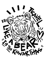Peterborough County Tourism bear persona graphic. (Illustration: Jason Wilkins))