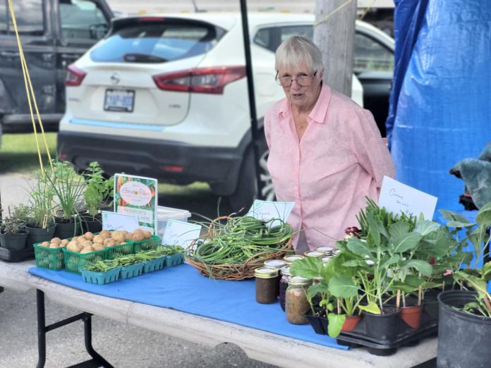 With the growing interest for consumers in purchasing locally grown food, the Havelock Farmer & Artisan Market was founded in 2018 and continues to run seasonally on Friday afternoons in the Village of Havelock. Market manager Elmer Buchanan says the Kawartha Local Food Wholesale program, delivered in part by Peterborough County, will help farmers expand beyond farmers' markets and connect with wholesale buyers such as restaurants, food retailers, tourist attractions, golf courses, and more. (Photo courtesy of Havelock Farmer & Artisan Market)