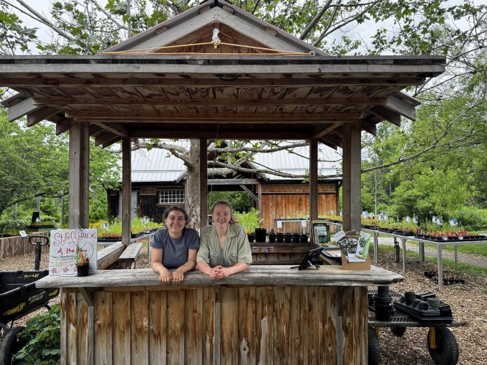 Every native plant that leaves the GreenUP Ecology Park Native Plant Nursery has the potential to become part of a larger ecological network, providing food, shelter, and habitat for countless species that depend on them. Nursery assistants Amelia McKinney (left) and Emma Hyland are pictured inside Ecology Park's kiosk, ready to help customers find the plants they desire. (Photo: Jonathan Armstrong / GreenUP)