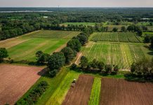 Peterborough-based charitable organization Farms at Work was formed in 2010 to support new farmers, keep farmland in production, and promote on-farm environmental stewardship in east Central Ontario. (Photo: Peterborough County Economic Development)