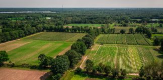 Peterborough-based charitable organization Farms at Work was formed in 2010 to support new farmers, keep farmland in production, and promote on-farm environmental stewardship in east Central Ontario. (Photo: Peterborough County Economic Development)