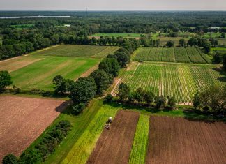 Know Your Locals: Farms at Work aims to keep farmland in production with resources for non-farming landowners Peterborough-based charitable organization Farms at Work was formed in 2010 to support new farmers, keep farmland in production, and promote on-farm environmental stewardship in east Central Ontario. (Photo: Peterborough County Economic Development)