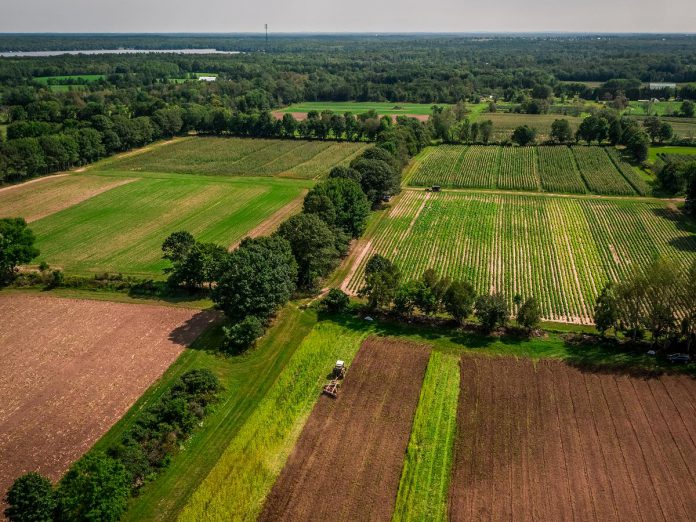 Peterborough-based charitable organization Farms at Work was formed in 2010 to support new farmers, keep farmland in production, and promote on-farm environmental stewardship in east Central Ontario. (Photo: Peterborough County Economic Development)