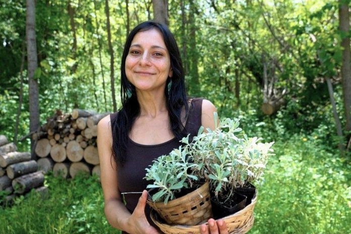 Robyn Ivory, founder of Curve Lake First Nation's Indigenously Infused, will lead a discussion on traditional medicine during the "Lessons from the Land" event held by the New Canadians Centre at the Jiimaan Kinomaagewin / Canadian Canoe Museum on July 1, 2026. During the discussion, she will explore how respectful relationships with the medicines and the land continue to guide stewardship practices, inspire innovation, and foster a more sustainable future for generations to come. (Photo courtesy of Robyn Ivory)