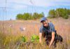 Two decades of transformation: Restoring rare tallgrass in the Rice Lake Plains Volunteers participate in restoration work at the Hazel Bird Nature Reserve, a property protected by the Nature Conservancy of Canada. The reserve is part of the Rice Lake Plains, a 40,000-hectare ecosystem at the east end of the Oak Ridges Moraine in Northumberland County that is home to Canada's easternmost tallgrass communities. Over more than two decades, the Nature Conservancy of Canada and its partners have worked to protect and restore the globally rare tallgrass prairie and oak savanna of Rice Lake Plains. (Photo: Chelsea Marcantonio / Nature Conservancy of Canada)