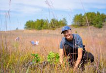 Two decades of transformation: Restoring rare tallgrass in the Rice Lake Plains Volunteers participate in restoration work at the Hazel Bird Nature Reserve, a property protected by the Nature Conservancy of Canada. The reserve is part of the Rice Lake Plains, a 40,000-hectare ecosystem at the east end of the Oak Ridges Moraine in Northumberland County that is home to Canada's easternmost tallgrass communities. Over more than two decades, the Nature Conservancy of Canada and its partners have worked to protect and restore the globally rare tallgrass prairie and oak savanna of Rice Lake Plains. (Photo: Chelsea Marcantonio / Nature Conservancy of Canada)