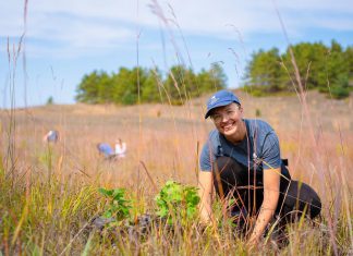Two decades of transformation: Restoring rare tallgrass in the Rice Lake Plains Volunteers participate in restoration work at the Hazel Bird Nature Reserve, a property protected by the Nature Conservancy of Canada. The reserve is part of the Rice Lake Plains, a 40,000-hectare ecosystem at the east end of the Oak Ridges Moraine in Northumberland County that is home to Canada's easternmost tallgrass communities. Over more than two decades, the Nature Conservancy of Canada and its partners have worked to protect and restore the globally rare tallgrass prairie and oak savanna of Rice Lake Plains. (Photo: Chelsea Marcantonio / Nature Conservancy of Canada)