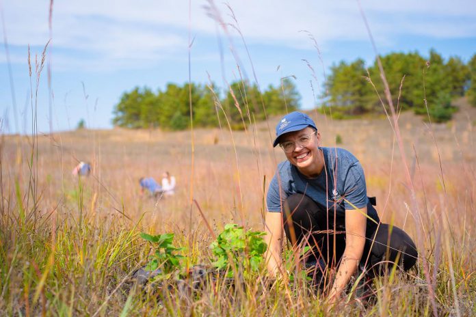 Volunteers participate in restoration work at the Hazel Bird Nature Reserve, a property protected by the Nature Conservancy of Canada. The reserve is part of the Rice Lake Plains, a 40,000-hectare ecosystem at the east end of the Oak Ridges Moraine in Northumberland County that is home to Canada's easternmost tallgrass communities. Over more than two decades, the Nature Conservancy of Canada and its partners have worked to protect and restore the globally rare tallgrass prairie and oak savanna of Rice Lake Plains. (Photo: Chelsea Marcantonio / Nature Conservancy of Canada) Volunteers participate in restoration work at the Hazel Bird Nature Reserve, a property protected by the Nature Conservancy of Canada. The reserve is part of the Rice Lake Plains, a 40,000-hectare ecosystem at the east end of the Oak Ridges Moraine in Northumberland County that is home to Canada's easternmost tallgrass communities. Over more than two decades, the Nature Conservancy of Canada and its partners have worked to protect and restore the globally rare tallgrass prairie and oak savanna of Rice Lake Plains. (Photo: Chelsea Marcantonio / Nature Conservancy of Canada)