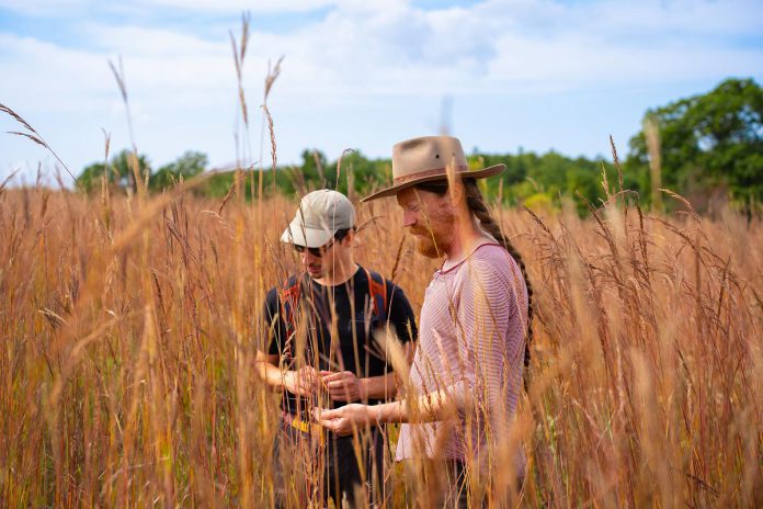 The 217-hectare Hazel Bird Nature Reserve, which spans the width of the Oak Ridges Moraine, is named after the late environmentalist Hazel Bird, who helped re-establish the then-endangered Eastern Bluebird through the Bluebird Trial project. The reserve is part of the Rice Lake Plains, a 40,000-hectare ecosystem in Northumberland County that is home to Canada's easternmost tallgrass communities as well as oak savanna. (Photo: Chelsea Marcantonio / Nature Conservancy of Canada)