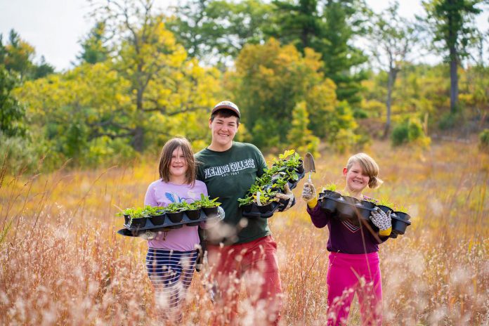 The Nature Conservancy of Canada invites volunteers to support to take part in restoring the Rice Lake Plains by joining events such as tree planting and seed collecting held on various properties. The organization also hosts an annual butterfly count at Rice Lake Plains, encouraging those without experience to get out and learn about the pollinators and their habitats, with the 2026 event coming up on June 27. (Photo: Chelsea Marcantonio / Nature Conservancy of Canada)