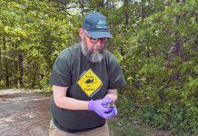 Conservation scientist Glenn M. Cunnington joins Ontario Turtle Conservation Centre as its new executive director Conservation scientist Glenn M. Cunnington, pictured during the release of a snapping turtle hatchling, will join the Ontario Turtle Conservation Centre as its new executive director on June 15, 2026. He is assuming the role from Dr. Sue Carstairs, who has functioned as the registered charity's executive director and medical director since 2009. (Photo: Ontario Turtle Conservation Centre)