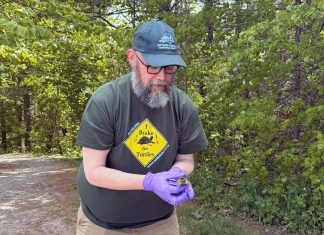 Conservation scientist Glenn M. Cunnington joins Ontario Turtle Conservation Centre as its new executive director Conservation scientist Glenn M. Cunnington, pictured during the release of a snapping turtle hatchling, will join the Ontario Turtle Conservation Centre as its new executive director on June 15, 2026. He is assuming the role from Dr. Sue Carstairs, who has functioned as the registered charity's executive director and medical director since 2009. (Photo: Ontario Turtle Conservation Centre)