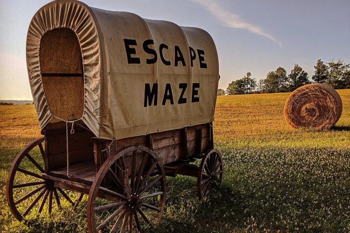 Located in the Township of Otonabee-South Monaghan, Escape Maze hosts a range of activities for families including escape mazes, outdoor trail games, disc golf, and laser tag. To extend the fun, guests can camp overnight by pitching their own tent, staying in a cabin, or staying in an old-timey caravan. (Photo courtesy of Escape Maze)
