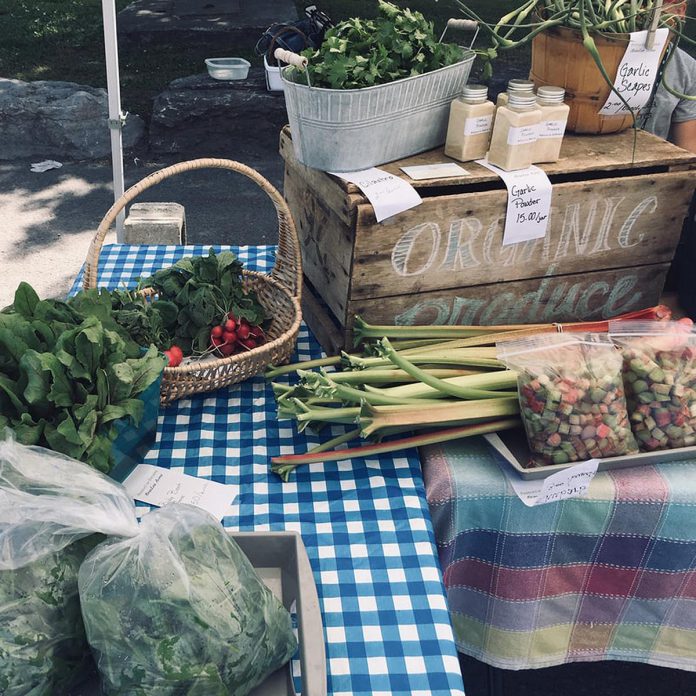 Held every Friday afternoon until Thanksgiving, the Havelock Farmer & Artisan Market in the Township of Havelock-Belmont-Methuen is the only afternoon farmers' market in The Kawarthas and offers locally grown produce, meats, maple syrups, and baked goods, as well as artisan products including jewellery, fibre arts, bath and body products, and more. (Photo courtesy of Havelock Farmer & Artisan Market)