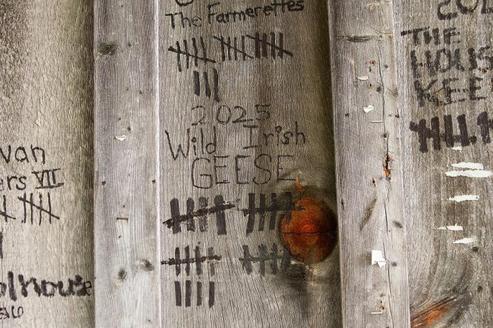 A section of the wall at the Winslow Farm in Millbrook displays past plays staged at 4th Line Theatre, with the number of performances marked, include the world premiere production of "Wild Irish Geese" in 2025. Megan Murphy's play about the Peter Robinson emigration returns from August 4 to 29 for its second run. (Photo: Jordan Lyall / kawarthaNOW)