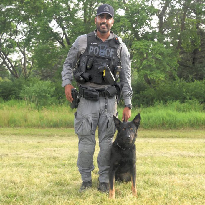Constable Amrit Gill and Atos of the Cobourg Police Service's resurrected canine unit. Atos is a one-and-a-half-year-old German shepherd from Poland who will assist police with locating vulnerable people, tracking suspects, recovering evidence, detecting drugs and firearms, and supporting officers in other situations. (Photo courtesy of Cobourg Police Service)