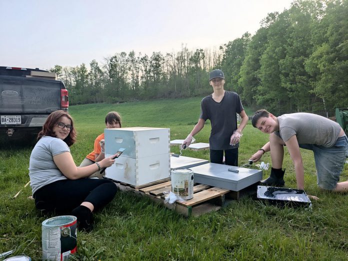 The Empire Beez team (left to right: Penelope McEvoy, Eloise Smith, Owen Musson, and Sebastian Smith) painted and constructed the beehive they installed at the Simpson Street Community Garden in Campbellford. The youth-led business hopes to raise enough funds to continue installing beehives in community gardens around Trent Hills. (Photo courtesy of Blythe Weber)