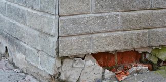 Rodenticides are not only dangerous to wildlife and pets, but cause prolonged suffering to rodents and do not prevent future infestations, requiring the use of even more rodenticides. Humane pest-control alternatives focus on preventative measures, such as sealing entry points to a building and removing food and garbage that may attract rodents. (Stock photo)