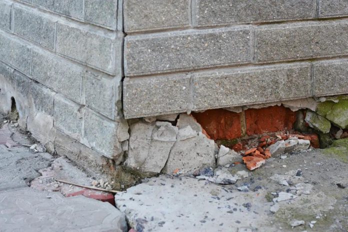 Rodenticides are not only dangerous to wildlife and pets, but cause prolonged suffering to rodents and do not prevent future infestations, requiring the use of even more rodenticides. Humane pest-control alternatives focus on preventative measures, such as sealing entry points to a building and removing food and garbage that may attract rodents. (Stock photo)