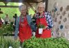 Peterborough and Area Master Gardeners mentored new gardeners of all ages at a Growing Together: Gardening Basics workshop on June 6, 2026 at GreenUP Ecology Park. Participants planted a range of herbs and vegetables into containers while connecting with others across multiple generations. (Photo: Andréanna Sullivan / GreenUP)
