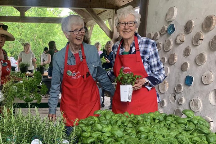 Peterborough and Area Master Gardeners mentored new gardeners of all ages at a Growing Together: Gardening Basics workshop on June 6, 2026 at GreenUP Ecology Park. Participants planted a range of herbs and vegetables into containers while connecting with others across multiple generations. (Photo: Andréanna Sullivan / GreenUP) Peterborough and Area Master Gardeners mentored new gardeners of all ages at a Growing Together: Gardening Basics workshop on June 6, 2026 at GreenUP Ecology Park. Participants planted a range of herbs and vegetables into containers while connecting with others across multiple generations. (Photo: Andréanna Sullivan / GreenUP)