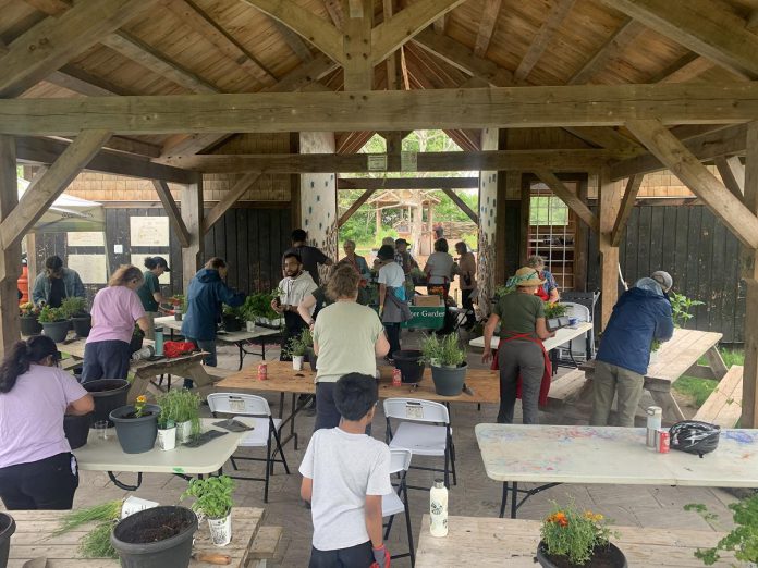 GreenUP is hosting multiple gardening workshops in partnership with the Peterborough and Area Master Gardeners in 2026 as part of Growing Together, an event series funded by the Government of Canada's New Horizons for Seniors Program. GreenUP Ecology Park's accessible infrastructure, like the education shelter shown in this photo from the June 6 Gardening 101 workshop, are important spaces for facilitating knowledge sharing and social connection between community members of all ages. (Photo: Andréanna Sullivan / GreenUP)