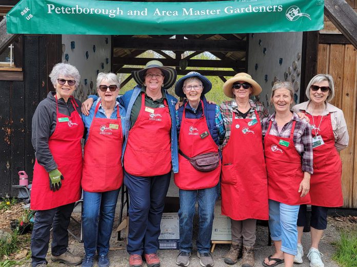 The Peterborough and Area Master Gardeners and GreenUP are building on their long-standing partnership at GreenUP Ecology Park Native plant nursery in 2026. Every weekend until July 5 and 6, volunteer master gardeners have been on hand at the nursery to share their knowledge and answer visitor questions about gardening and plant selection. (Photo: Natalie Stephenson / GreenUP)