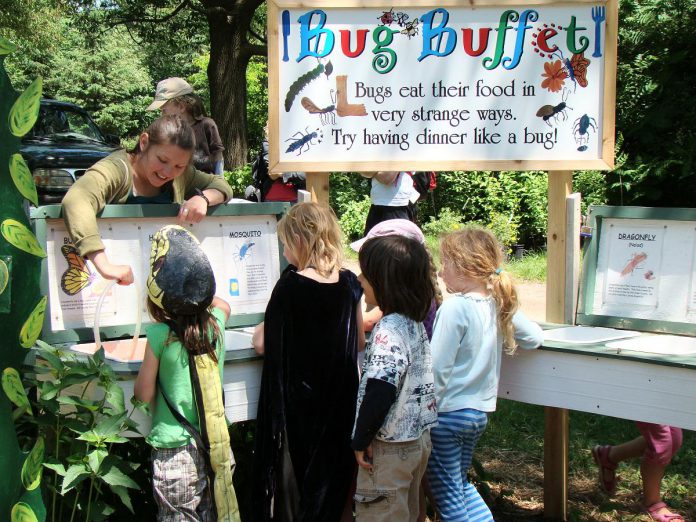 Elements of the old Ecology Park Children's Garden, such as the bug buffet pictured here, taught children about the natural world in fun and tactile ways. With new funding support, GreenUP plans to reinvigorate Ecology Park as an environmental education destination with open-ended play elements, encouraging families to explore. (Photo: GreenUP)