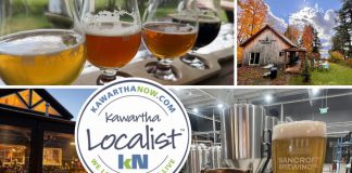 Kawartha Localist: Sip on a cold one brewed right here in the Kawarthas This edition of kawarthaNOW's "Kawartha Localist" editorial series features our favourite craft breweries in the Kawarthas, including 100 Acre Brewing Co. and Bobcaygeon Brewing Company in Peterborough, Old Dog Brewing in Bobcaygeon, Bancroft Brewing Company, Haliburton Highlands Brewing, Northumberland Hills Brewery in Cobourg, and Belmont Lake Brewery near Havelock, along with Ashburnham Ale House craft beer cafe in Peterborough. (kawarthaNOW collage)