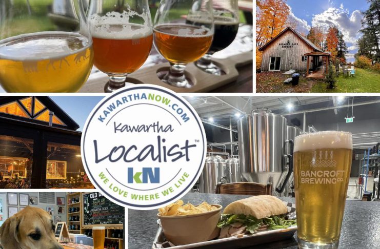 This edition of kawarthaNOW's "Kawartha Localist" editorial series features our favourite craft breweries in the Kawarthas, including 100 Acre Brewing Co. and Bobcaygeon Brewing Company in Peterborough, Old Dog Brewing in Bobcaygeon, Bancroft Brewing Company, Haliburton Highlands Brewing, Northumberland Hills Brewery in Cobourg, and Belmont Lake Brewery near Havelock, along with Ashburnham Ale House craft beer cafe in Peterborough. (kawarthaNOW collage)