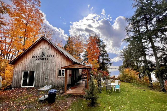 Down a dirt road in the Township of Havelock-Belmont-Methuen, you'll find Belmont Lake Brewery, a small craft brewery specializing in English beer. The dog-friendly brewery sports a partly covered patio and seating on the grass with views of Belmont Lake, which provides inspiration for many of the beers. (Photo courtesy of Belmont Lake Brewery)