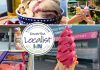 This edition of kawarthaNOW's "Kawartha Localist" editorial series features our favourite ice cream and frozen treat destinations in the Kawarthas, including Central Smith Creamery in Selwyn Township, Reclaimed Garden Co. in Burleigh Falls, Kawartha Dairy in Bobcaygeon and beyond, Canoe Co. Café in downtown Peterborough, Violet's Frozen Yogurt in Kinmount, Mercury Chocolates & Gelateria in Cobourg, and The Little Frozen Yogurt Company in Douro. (kawarthaNOW collage)