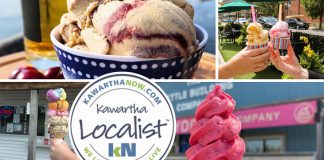 This edition of kawarthaNOW's "Kawartha Localist" editorial series features our favourite ice cream and frozen treat destinations in the Kawarthas, including Central Smith Creamery in Selwyn Township, Reclaimed Garden Co. in Burleigh Falls, Kawartha Dairy in Bobcaygeon and beyond, Canoe Co. Café in downtown Peterborough, Violet's Frozen Yogurt in Kinmount, Mercury Chocolates & Gelateria in Cobourg, and The Little Frozen Yogurt Company in Douro. (kawarthaNOW collage)
