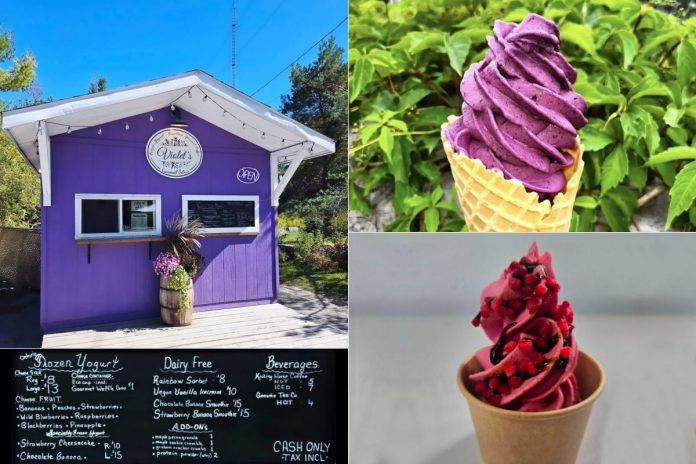 Violet's Frozen Yogurt in Kinmount serves up Ontario-made frozen yogurt with innovative flavours and toppings as well as vegan and sugar-free cold treats. Founded by Toshia Violet Bacon in 2021, the distinctive purple shop is open six days per week throughout the summer, with a food truck attending local festivals, fairs, and other events. (Photos courtesy of Violet's Frozen Yogurt)