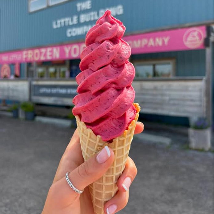 Customize your fresh swirled froyo at The Little Frozen Yogurt Company off Highway 28 in Douro by choosing from a variety of fruits including banana, strawberry, mixed berry, mango, and more and toppings including cookie crumbs and sprinkles. Other sweet treats served at the walk-up window include Kawartha Dairy ice cream, Pom Pom vegan ice cream, freezies, chips, and more. In summer 2026, the owners will be unveiling an 18-hole Canadiana-inspired mini golf course. (Photo: Skye McMurray)