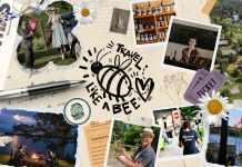 Peterborough County Tourism has designed four traveller personas that highlight different ways to experience The Kawarthas based on what you enjoy, what inspires you, and how you like to spend your time while you're visiting this region. The Bee represents cultural travellers who go from place to place, seeking authentic experiences and eager to collect and share every story they find. (Graphic: Peterborough County Tourism)