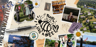 Peterborough County Tourism has designed four traveller personas that highlight different ways to experience The Kawarthas based on what you enjoy, what inspires you, and how you like to spend your time while you're visiting this region. The Bee represents cultural travellers who go from place to place, seeking authentic experiences and eager to collect and share every story they find. (Graphic: Peterborough County Tourism)