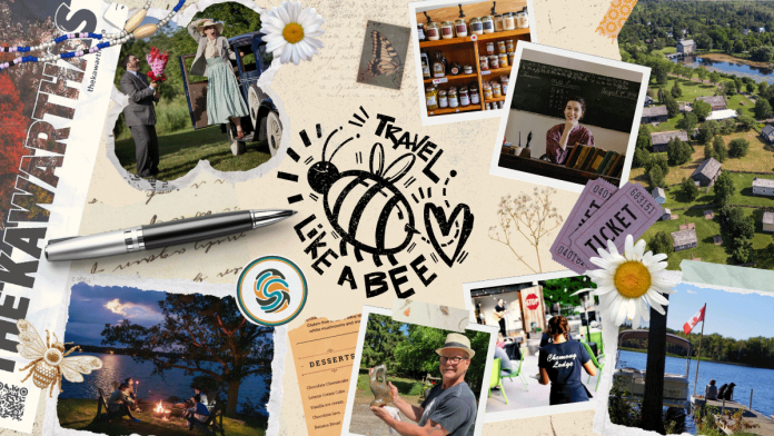 Peterborough County Tourism has designed four traveller personas that highlight different ways to experience The Kawarthas based on what you enjoy, what inspires you, and how you like to spend your time while you're visiting this region. The Bee represents cultural travellers who go from place to place, seeking authentic experiences and eager to collect and share every story they find. (Graphic: Peterborough County Tourism)