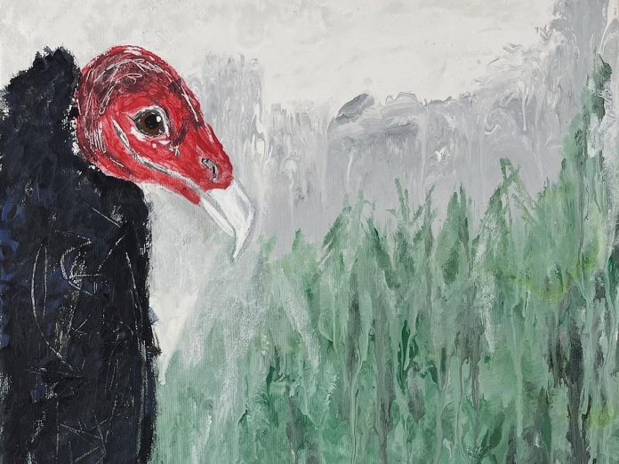 At the inaugural Turkey Vulture Festival at Rotary Park in Port Hope on September 27, 2026, Caolaidhe Keelor and other artists will be selling vulture-themed artwork and merchandise. (Photo courtesy of Caolaidhe Keelor)