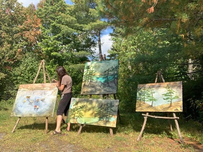 Lisa Mace is one of 27 artists participating in the 2026 Apsley Autumn Studio Tour when it returns for the 33rd year on September 19 and 20 in North Kawartha Township. The painter will be working at Studio C at 296 Burleigh Street alongside woodworker Britt Olauson and jeweller Silver Timbers. (Photo courtesy of Lisa Mace)