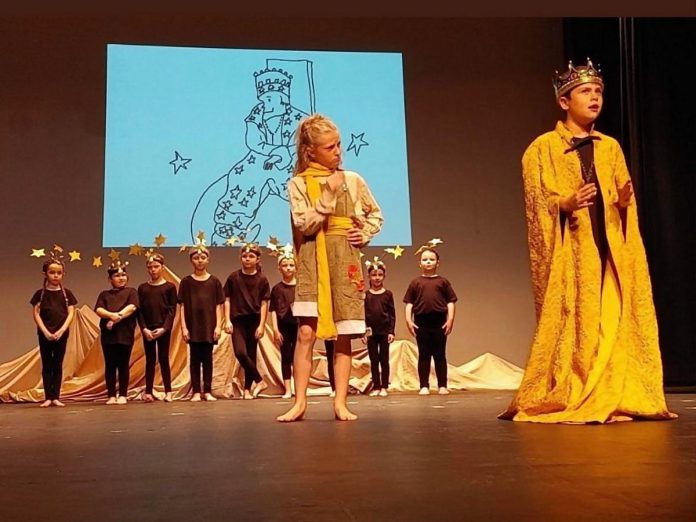 The Peterborough Theatre Guild's 2022 production of "The Little Prince" was actor Darragh O'Connell's first time taking to the stage. Ten years old at the time, he recalls knowing immediately that he wanted to continue acting and has since gone on to be involved with around 15 other local theatre productions as well as stared in some national commercials. (Photo courtesy of Darragh O'Connell)